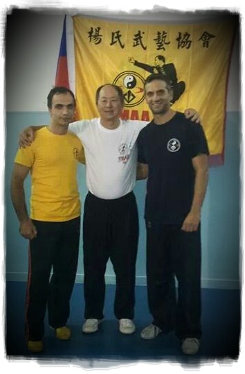 www.kungfuitalia.it kung fu academy scuola di arti marziali caserta italia di sifu salvatore mezzone imaa international martial arts alliance wing tjun tsun chun tai chi taijiquan qigong chi pilates mma muay thai bjj reiki meditazione